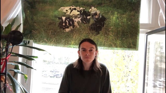 Related Embedded Video Item Thumbnail