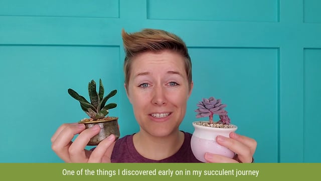 Succulents And Sunshine Id Cards