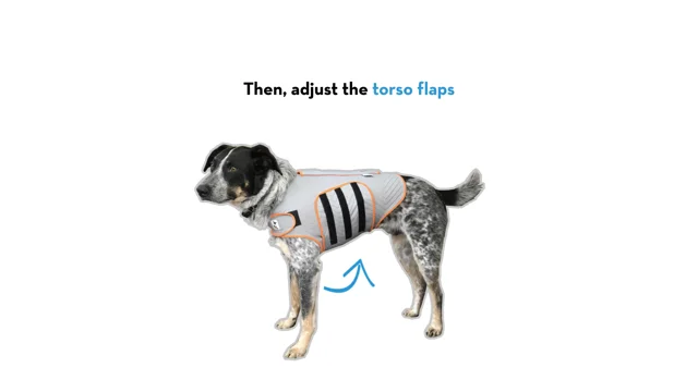 How do thundershirts 2024 work for dogs