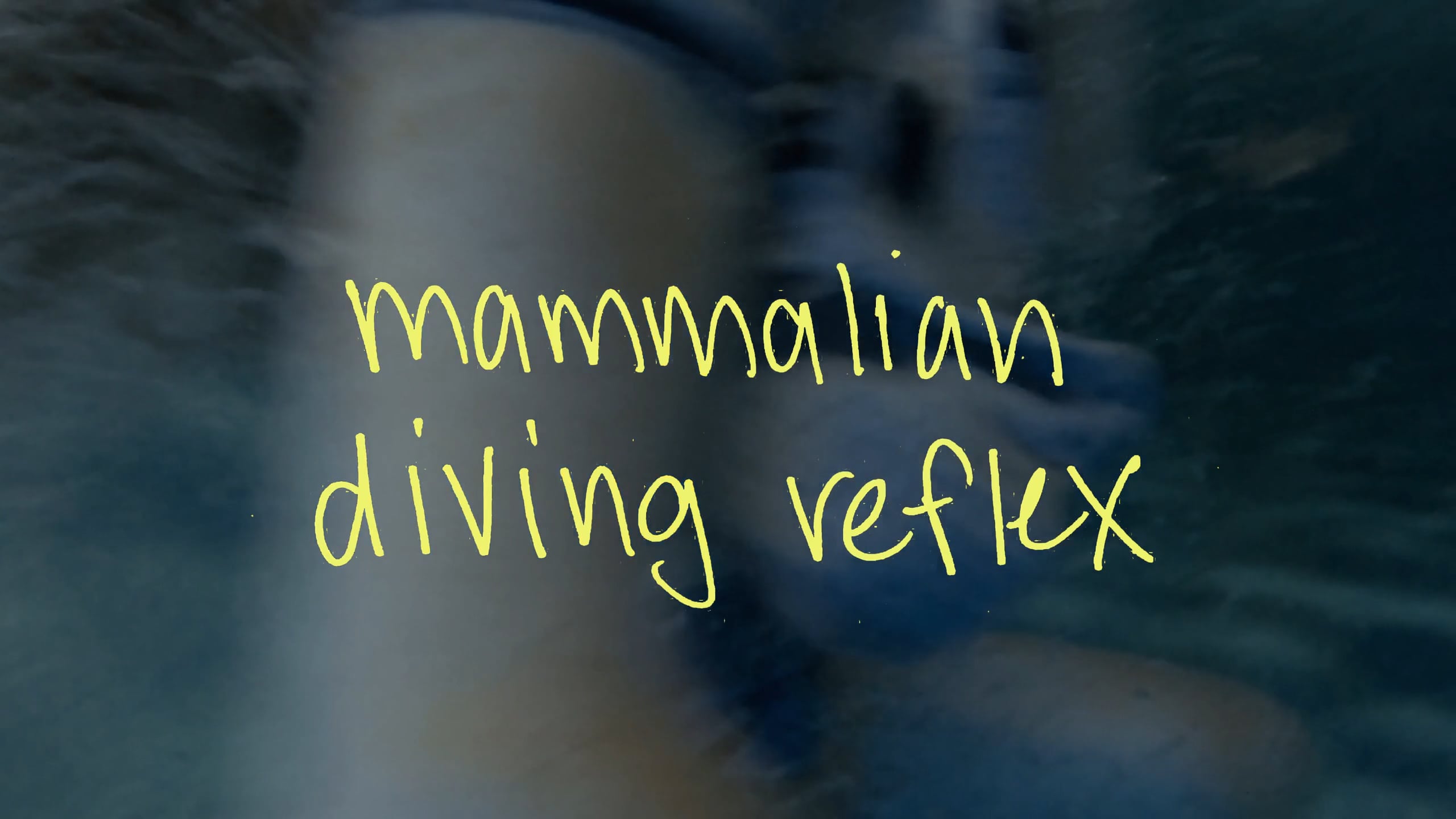 MAMMALIAN DIVING REFLEX on Vimeo