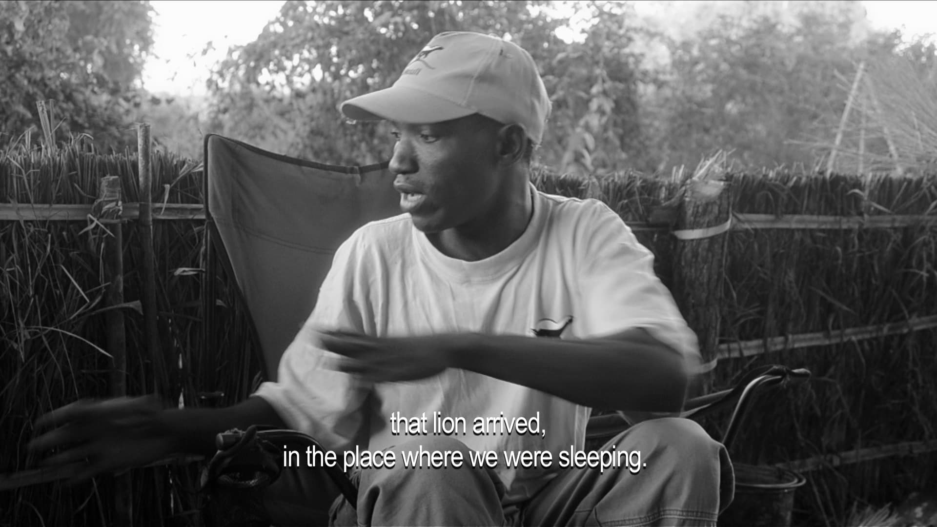 Spirit Creatures - Niassa's Invisible Realm