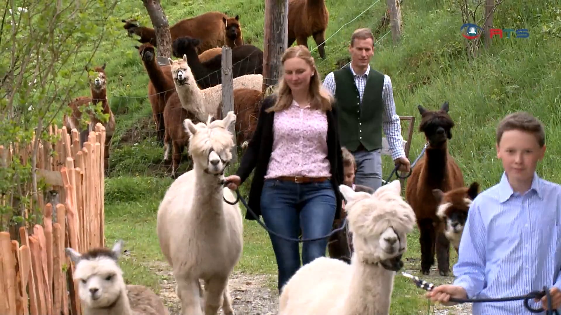den-reiz-der-landwirtschaft-vermitteln-urlaub-am-bauernhof
