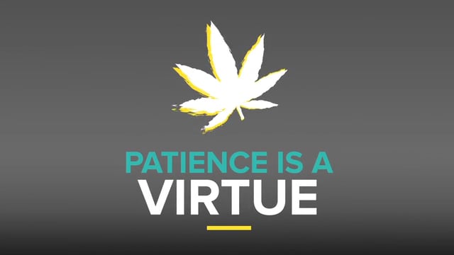 Patience is a Virtue