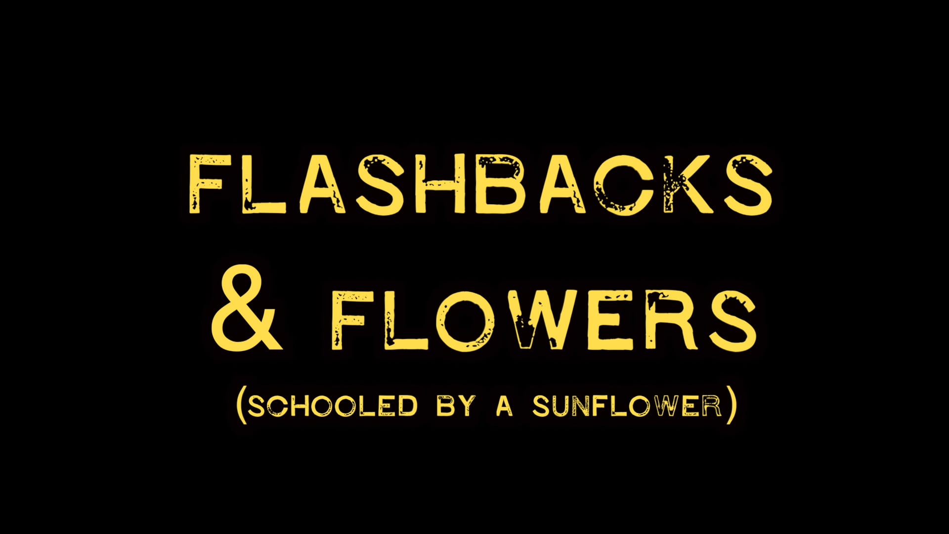 Flashbacks and Flowers - Rufus  Mufasa - Schooled By A Sunflower .mov