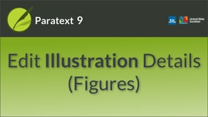 More about Illustrations