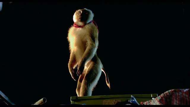 Monkey Hero (กะปิ ลิงจ๋อไม่หลอกจ้าว also Kapi) on Vimeo