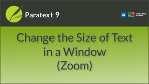 Change Text Size with Zoom