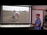 Preview Video #1