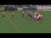 Preview Video #1