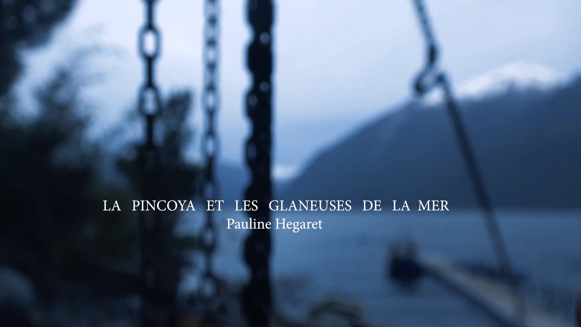 La pincoya et les glaneuses de la mer