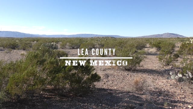 (c) Leacountycdc.org