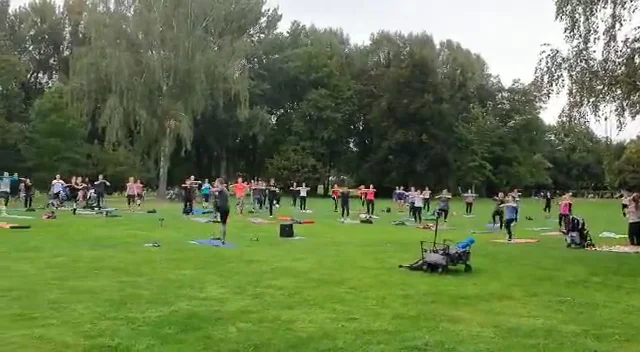 Training on Vimeo