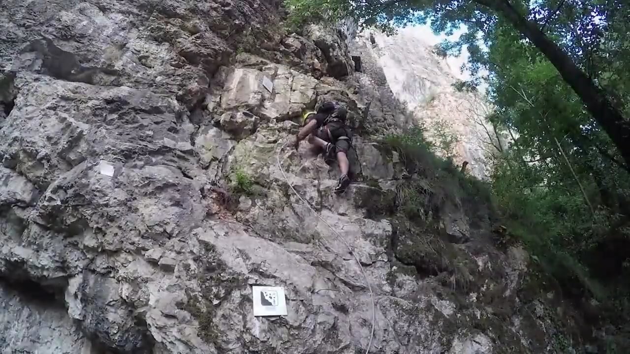https://i.vimeocdn.com/video/1142256037-264f7ded363b13ae616f2967f02e4419bcbee5d535731c686ae2d866dfbeb131-d