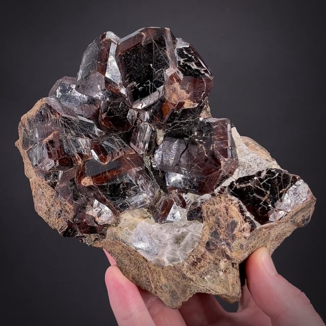 large Andradite Garnet w/ Quartz (Chet Lemanski Coll