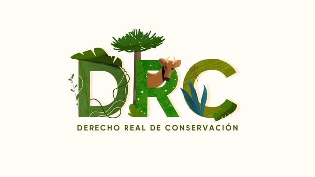 Producción Audiovisual