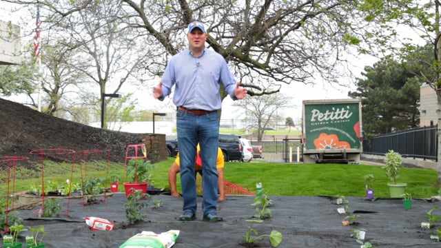 Planting the Garden