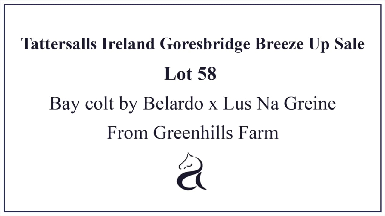 Lot 58 Goresbridge Breeze Up Sale on Vimeo