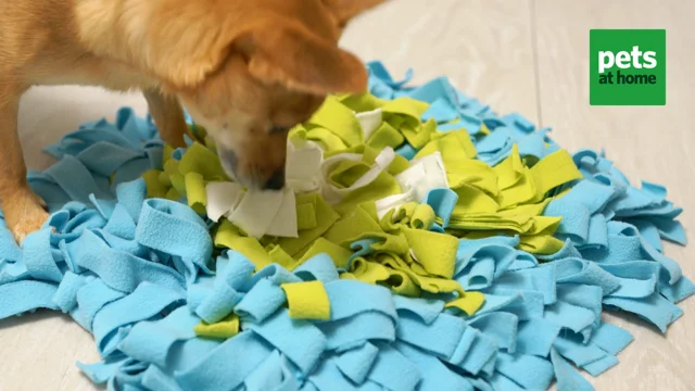 Bunny Rabbit Snuffle Mat, Foraging Blanket, Stimulation Treat Toy