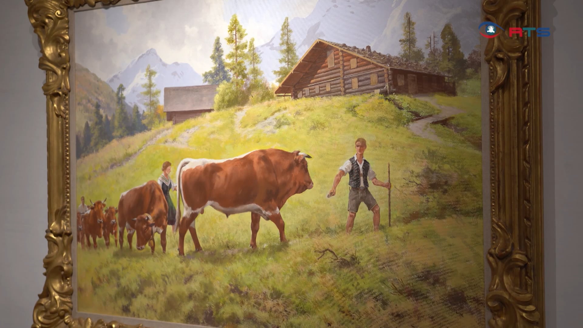 bergbau-und-gotikmuseum-leogang-widmet-pinzgauer-rind-sonderausstellung