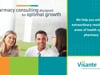 Visante | Pharmacy Consulting Designed for Optimal Growth | 20Ways Summer Hospital 2021