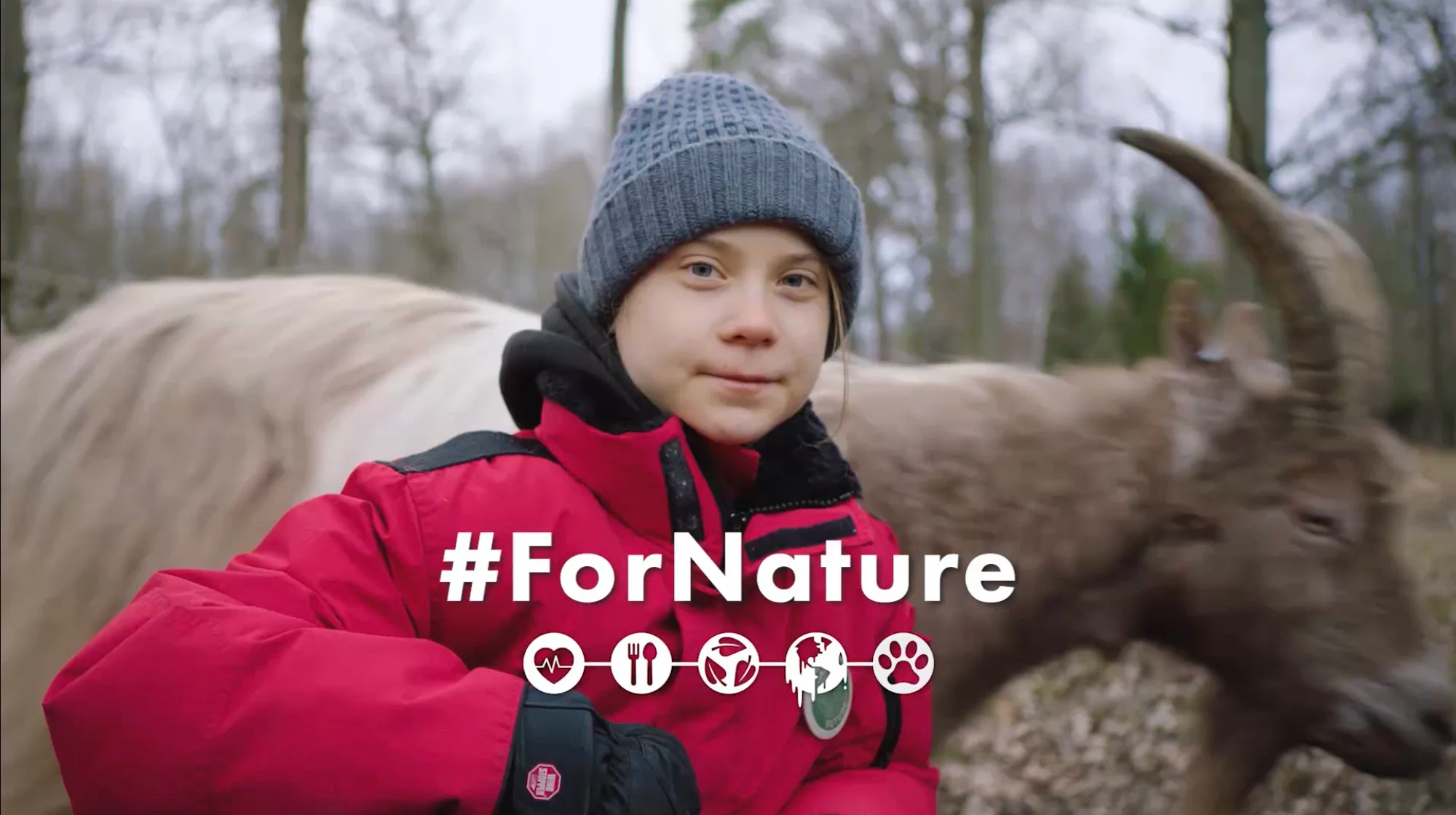 ForNature - A Film By Greta Thunberg on Vimeo