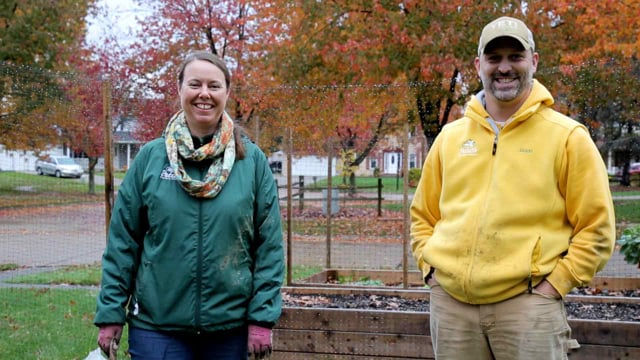 Vegetable Gardening in Raised Beds | Part 13: How to Grow & Care for Lettuce – Late Fall