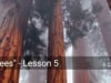 "Trees" - Lesson 5
