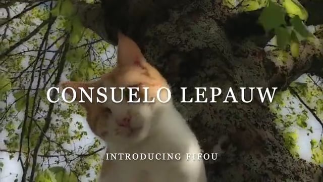 Related Embedded Video Item Thumbnail