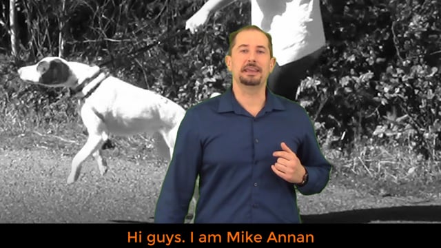 Have a Behavior Problem in Your Dog?