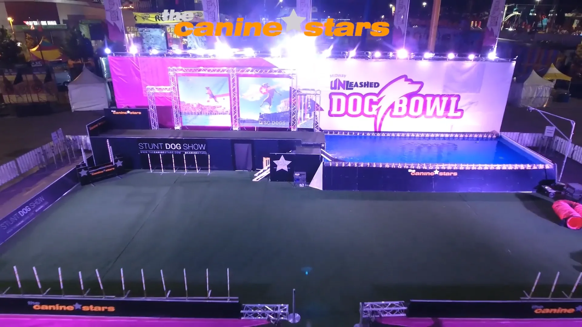 Stunt Dog Show  Entertainment Act by The Canine Stars