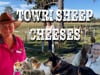 Farm 2 Plate Exchange - Day 1 - Towri Sheep Cheeses