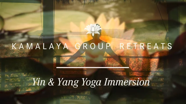 Yin & Yang Yoga - 2  Online Yoga series with teacher Simon Low