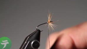 ** Outdoor Adventures **