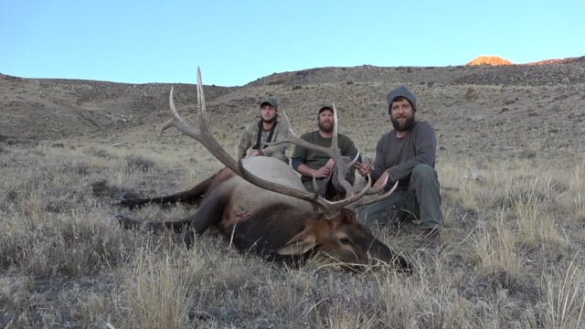 Spencer's Idaho Elk Hunt with Little Lost Outfitters