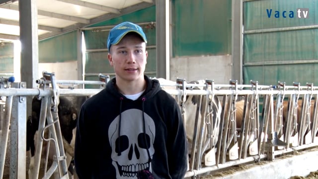 Ser gandeiro, unha decisión tomada desde ben pequeno