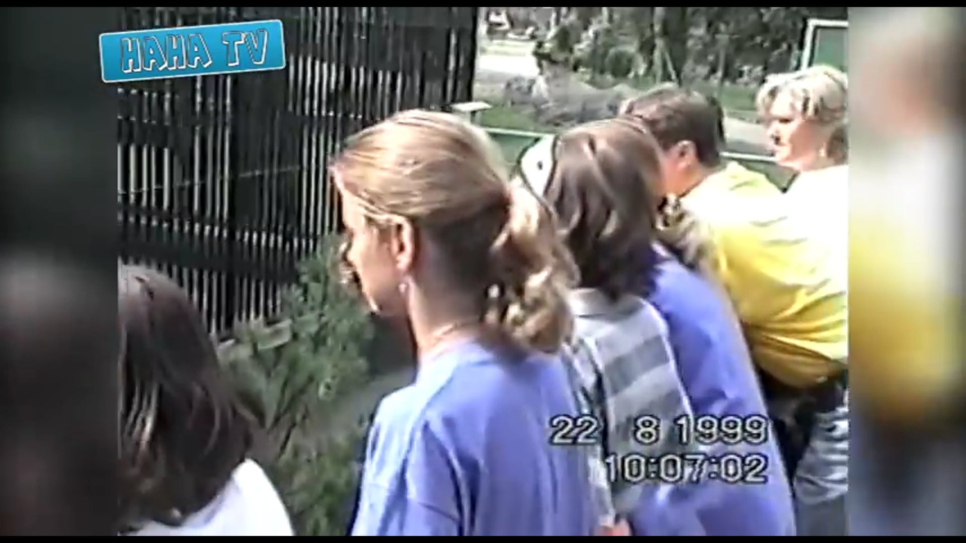 Αστεία συλλογή βίντεο με ζώα