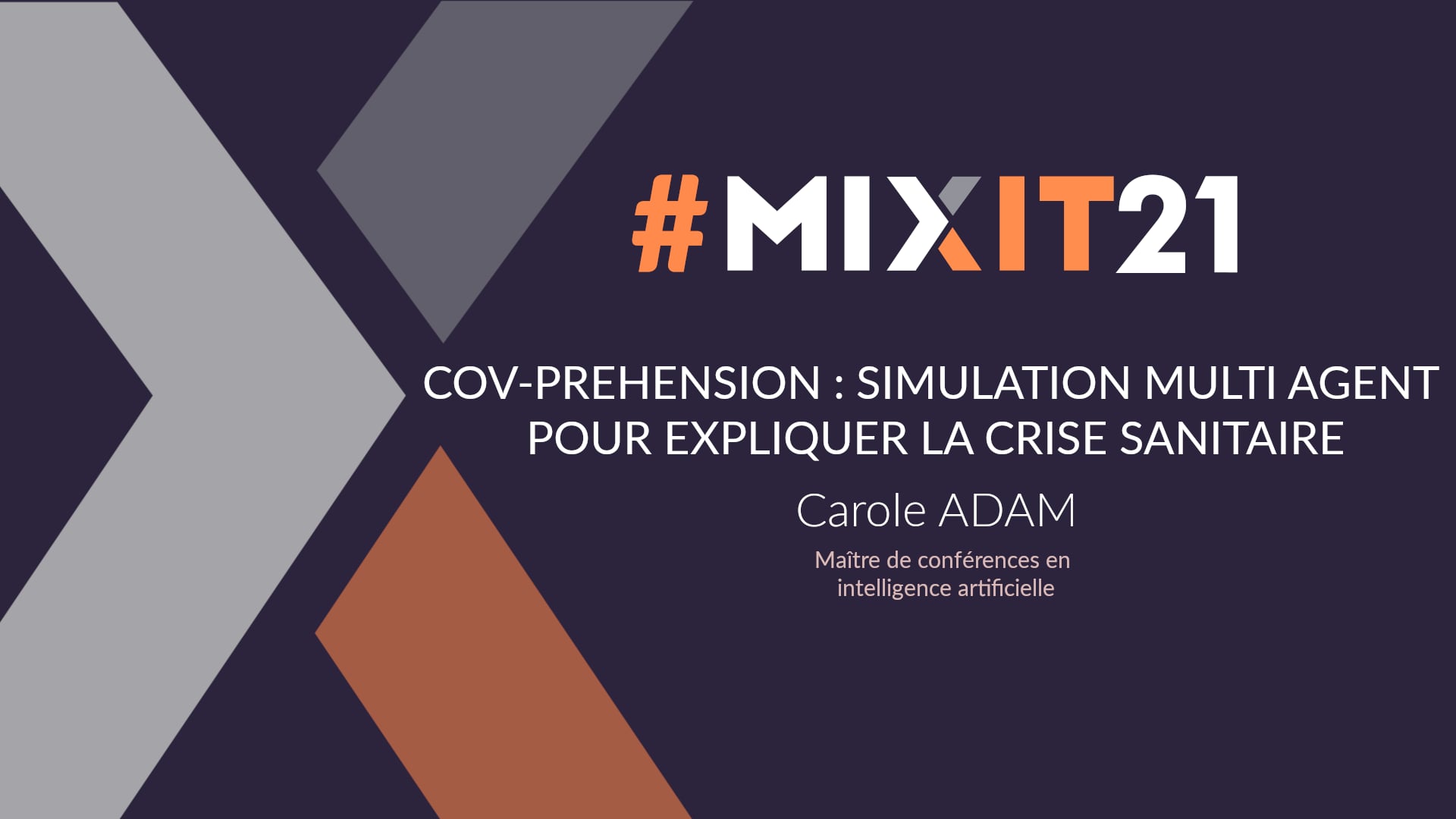 CovPrehension : simulation multi-agent pour expliquer la crise ...