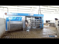 BouMatic instala el primer robot Gemini en una granja de Portugal