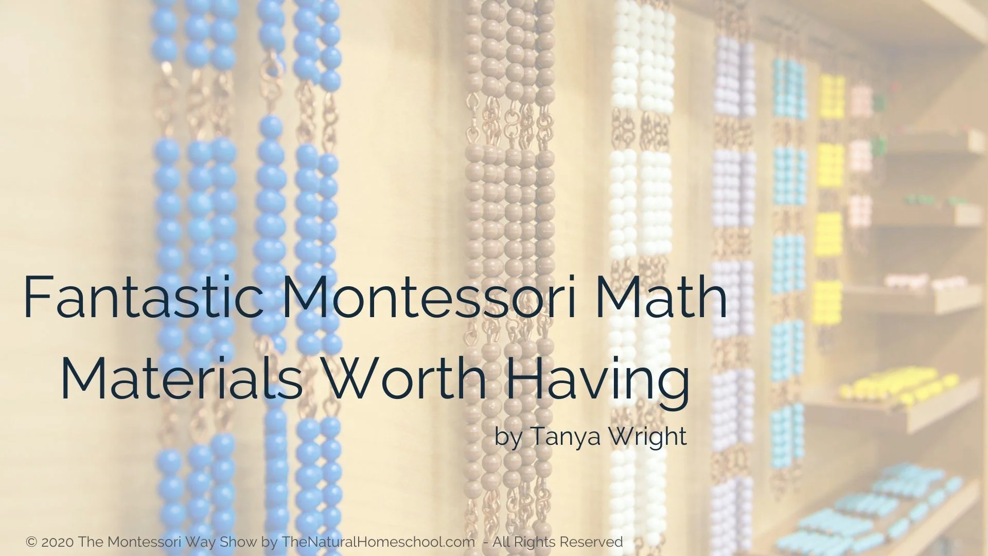 Elite Montessori Complete Bead Material - Math Learning Set