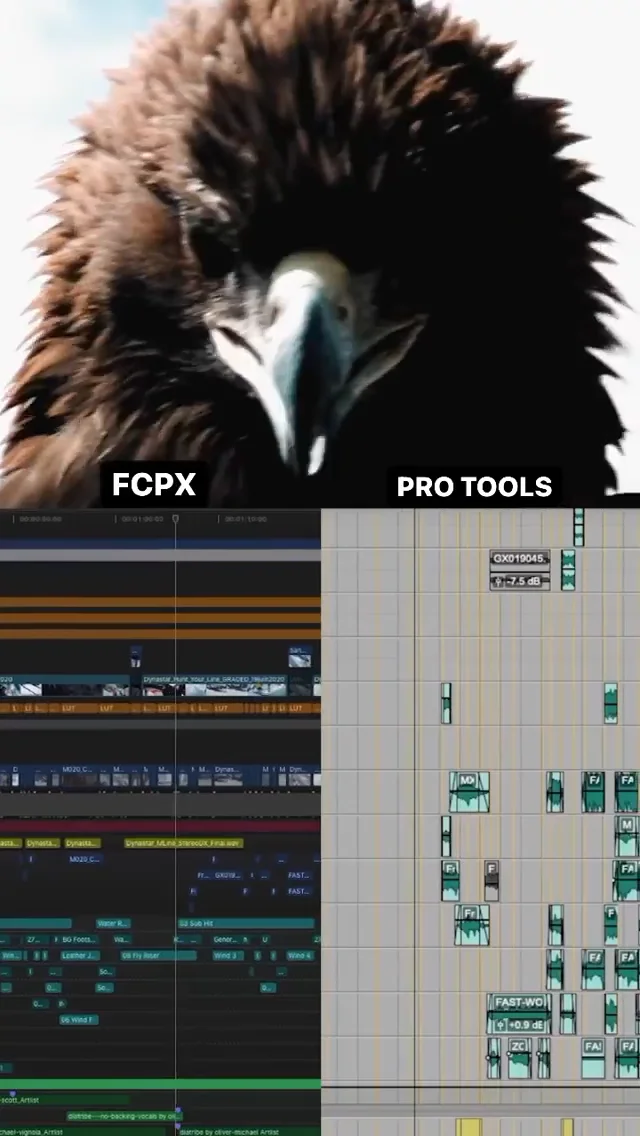 sample on Vimeo