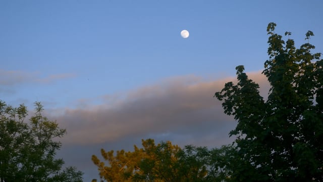 Moon, Day, Sky. Free Stock Video - Pixabay