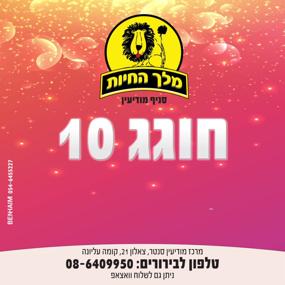 Lion_king_store on Vimeo