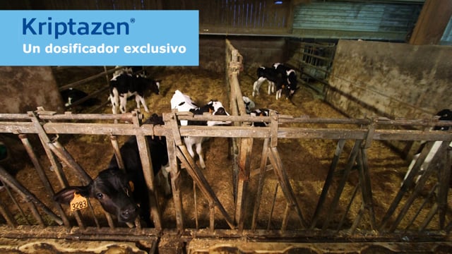 Risco de criptosporidiose? Virbac presenta Kriptazen