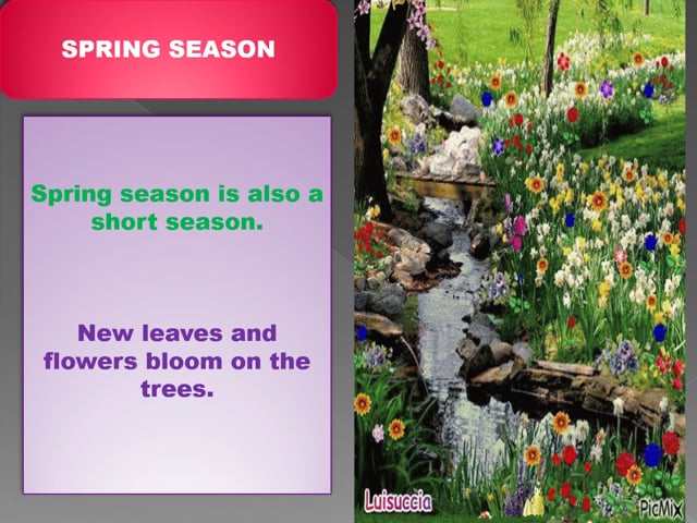 Seasons