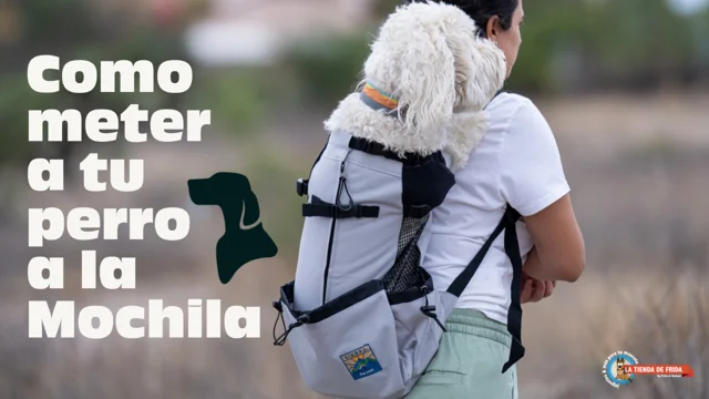 Mochila para llevar perro en online bicicleta