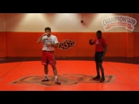 Preview Video #1