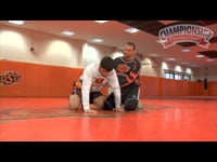 Preview Video #1