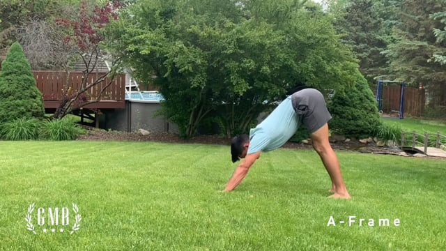 Bear Walks For Full Body Strength And Mobility GMB Fitness