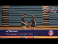 Preview Video #1