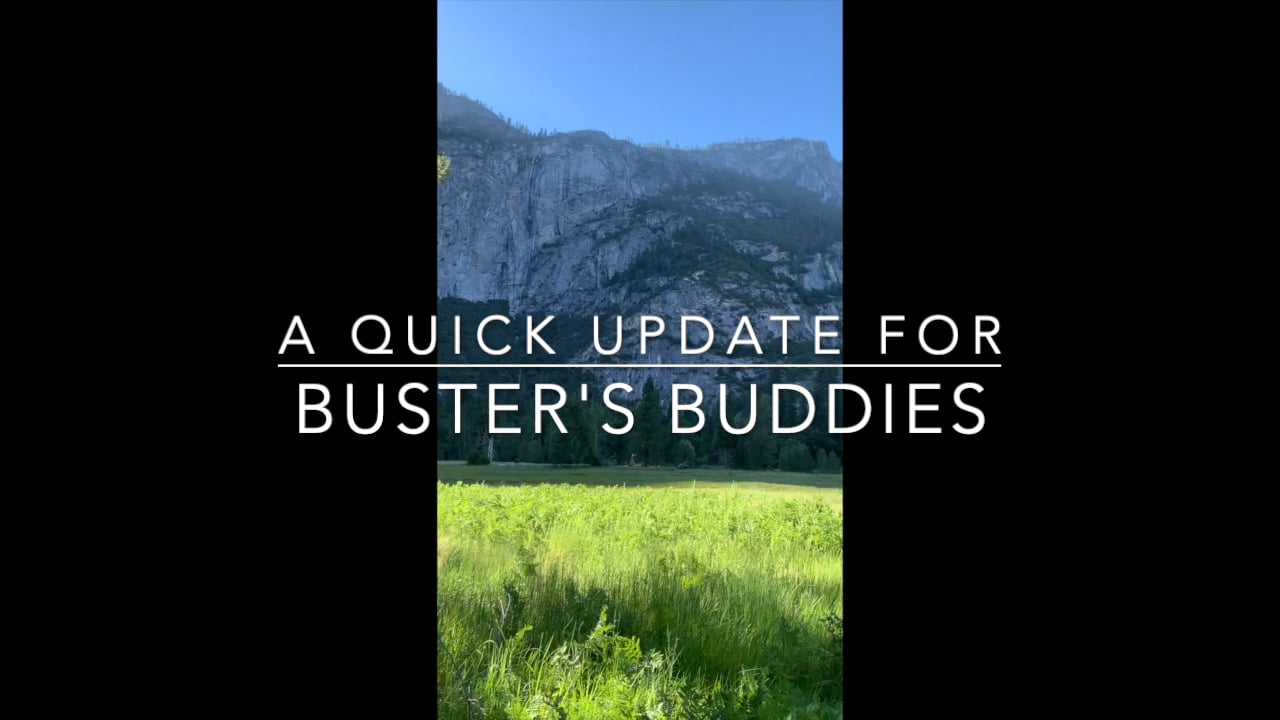 Buster's Buddies 2021.mp4 on Vimeo